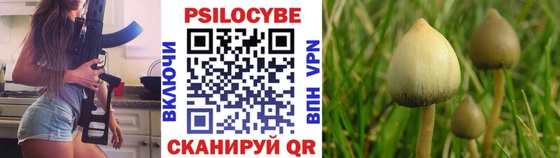 Псилоцибиновые грибы MAGIC MUSHROOMS  купить наркотики сайты  Полтавская 