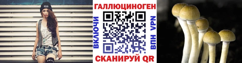 Галлюциногенные грибы Magic Shrooms Полтавская